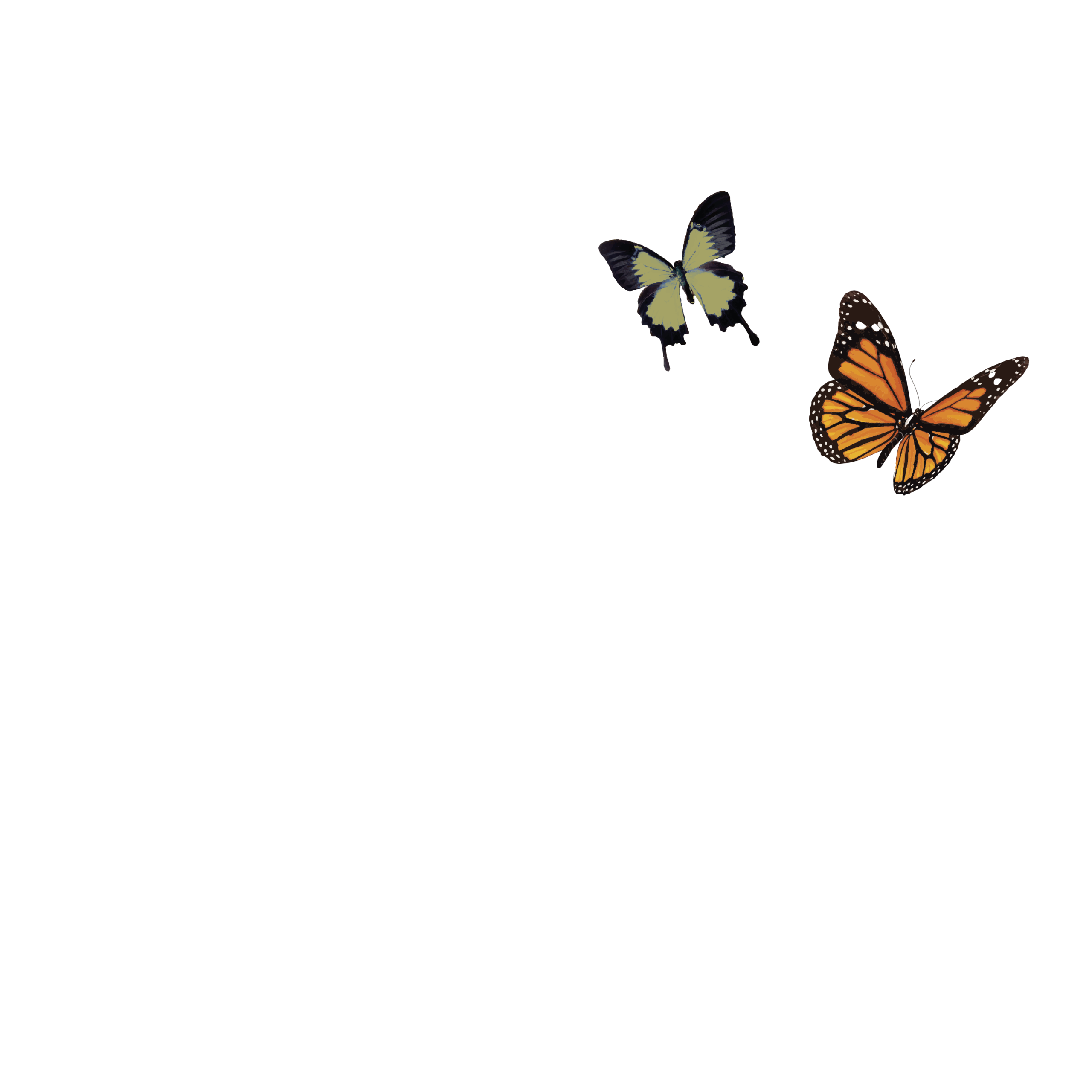Lara by Vítor Matos